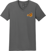 Avon Grove Softstyle V-Neck T-Shirt