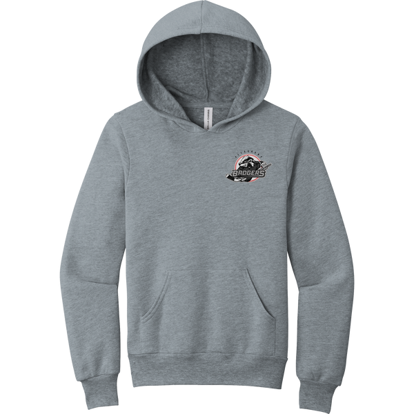 Allegheny Badgers Youth Sponge Fleece Pullover Hoodie