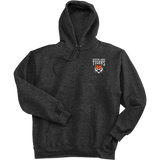 Princeton Jr. Tigers Super Heavyweight Fleece Hoodie