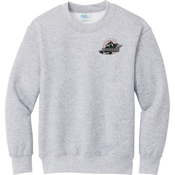 Allegheny Badgers Youth Core Fleece Crewneck Sweatshirt