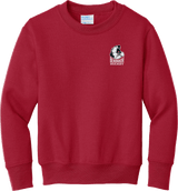 Berdnikov Bears Youth Core Fleece Crewneck Sweatshirt